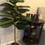 Photos des clients 1 de 1