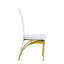 Airi Modern Minimalist Ergonomic Design Dining Chairs with Durable Metal Frame-125177284-125177285-125177287