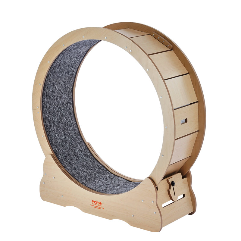 Grande roue de tapis roulant pour chats d'intérieur pour chat 35,8 pouces, H 38,2 po x l 31,5 po x P 12,52 po