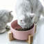 Bol anti-basculement en céramique pour nourriture pour animaux avec support pour chats