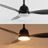 Clarra 52'' Ceiling Fan with LED Lights-1890635366