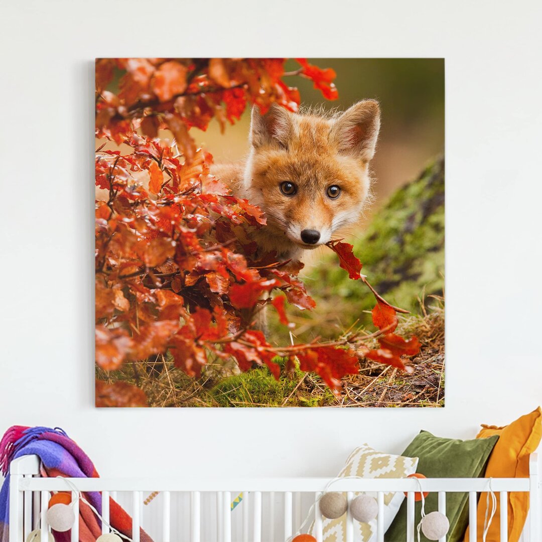 Leinwandbild Fox in Autumn