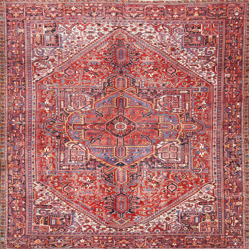 Overshores Oriental Indoor Rug, Square 7'