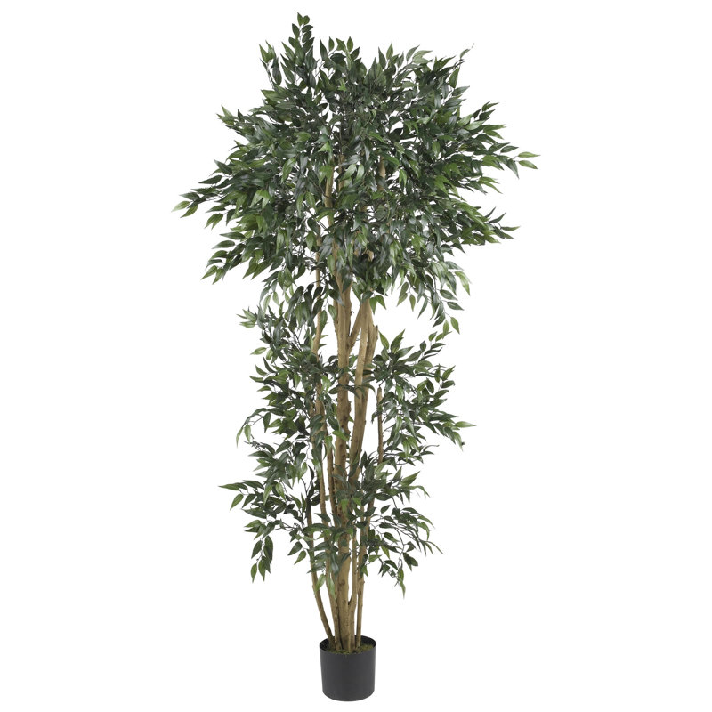 Green Ash Silk Tree