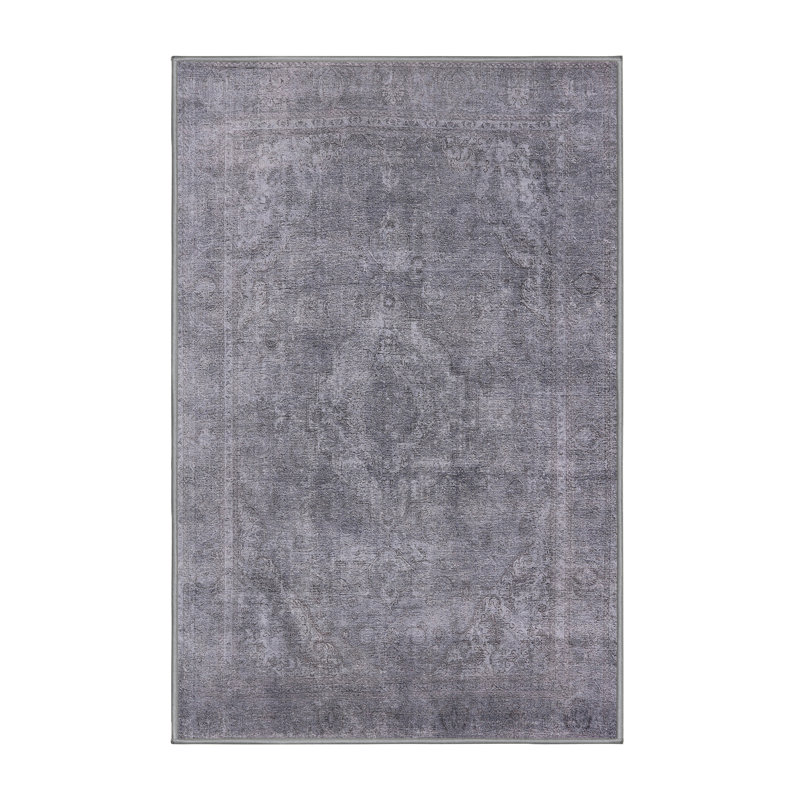 Izayah Indoor Rug, Rectangle 7' x 10'