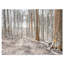 «Dense Forest in the Winter», reproduction de photo sur toile tendue-19240592