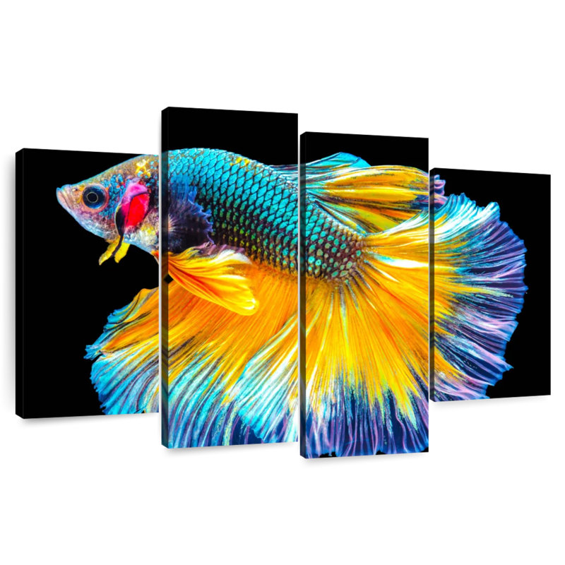 Brampt Multicolored Betta Fish, 18" H x 30" W