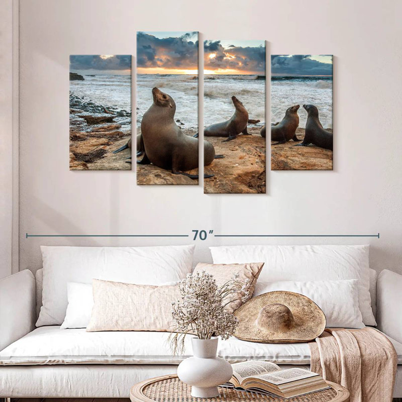 Brampt Sea Lions In La Jolla