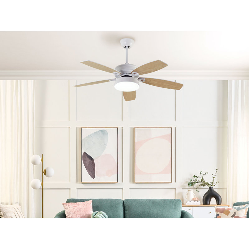 Asimakis 110cm Ceiling Fan with LED Lights
