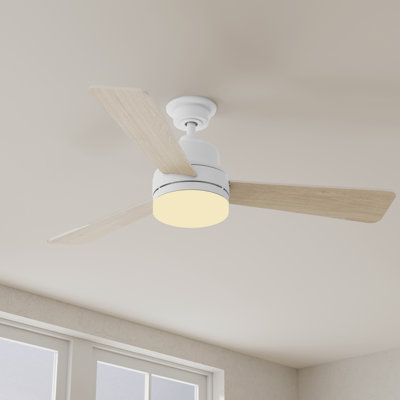 Trevina 52'' Ceiling Fan with LED Lights