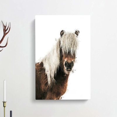 Icelandic Horse - Wrapped Canvas