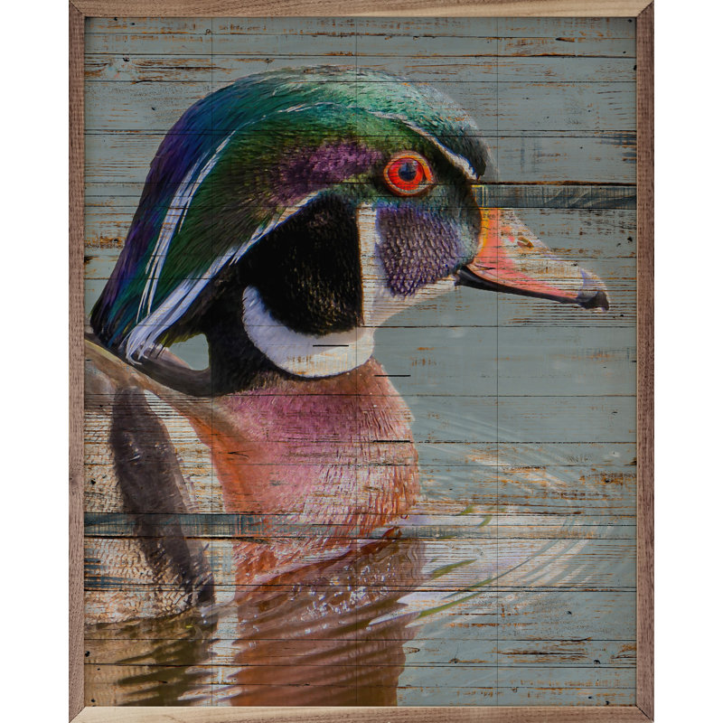 Wood Duck Blue, 10" H x 8" W
