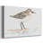 Pretty Piper I-Gallery Wrapped Canvas-3409284