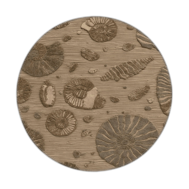 Nature Brown Indoor and Outdoor Area Rug, Round 5'