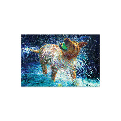 " The Juggler " by Iris Scott