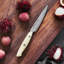 ZWILLING Bob Kramer Cumulus 4-Inch Paring Knife