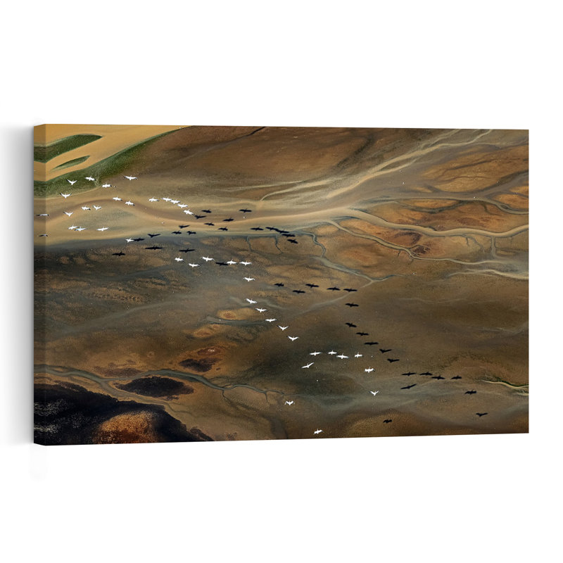 Birds Over Earth Patterns Abstract Organic Contemporary Bird Landscape Nature Wall Art Print 1 Piece Wrapped Canvas Wall Art