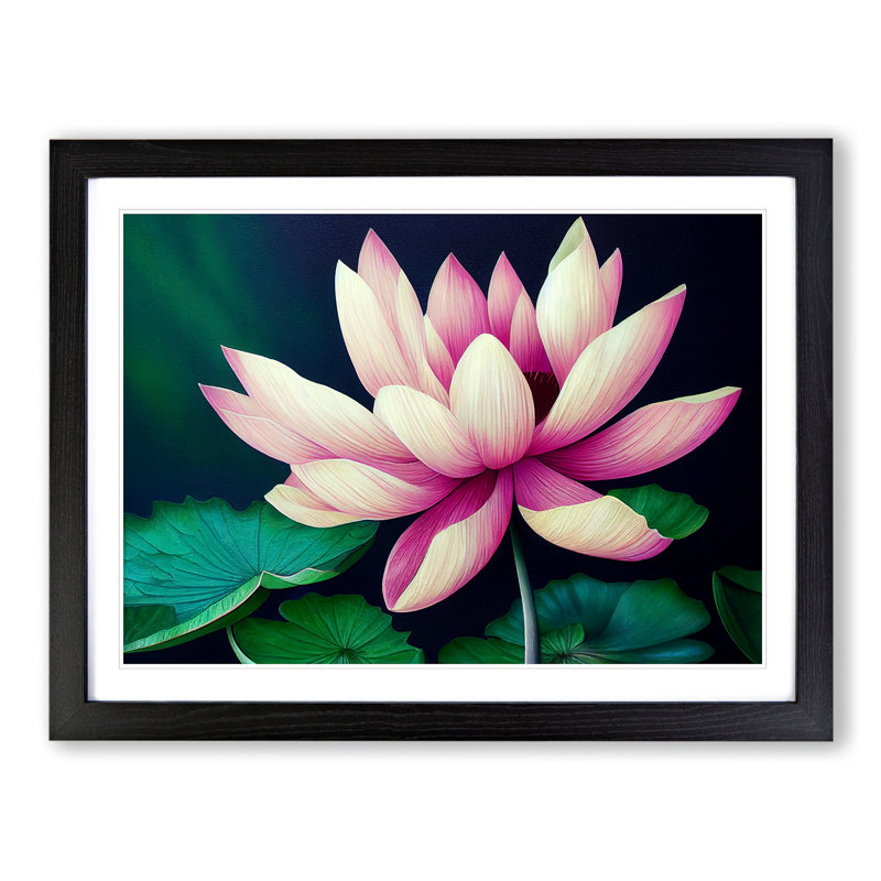 An Excellent Lotus Flower - Single Picture Frame Print, Black, 46cm H x 64cm W x 2cm D