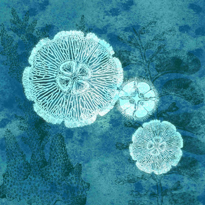 " Jelly Fish " Painting Print