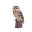  Hibou brun sur une branche | Statue d'oiseau décorative fabriquée à la main pour la maison et le jardin | Polyrésine de qualité supérieure, décor intérieur / extérieur résistant aux intempéries