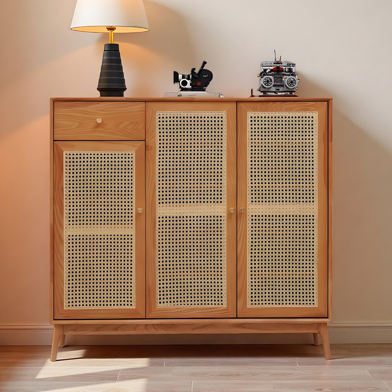 Modern large storage shoe cabinet, Brown