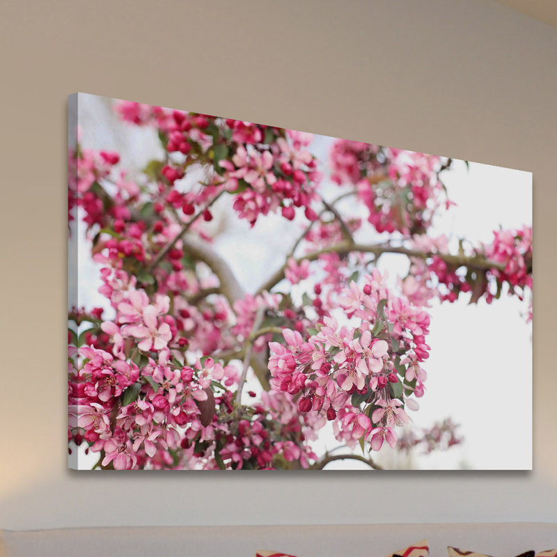 Spring In Pink by Sylvia Cook - Wrapped Canvas Print, 31cm H x 46cm W x 4cm D
