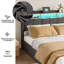 Rishi Upholstered Storage Bed with Drawers-1854995819-1854995818