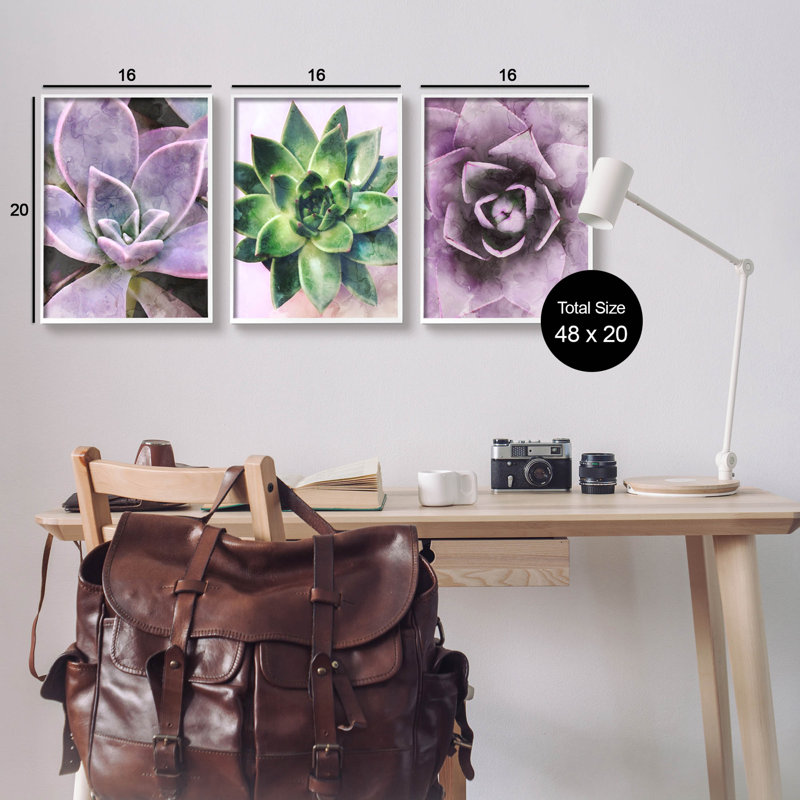 «Purple Sprouting Succulents Close Up», ensemble de 3 giclées encadrées par Lil 'Rue, H 20 po x l 16 po x P 1,5 po