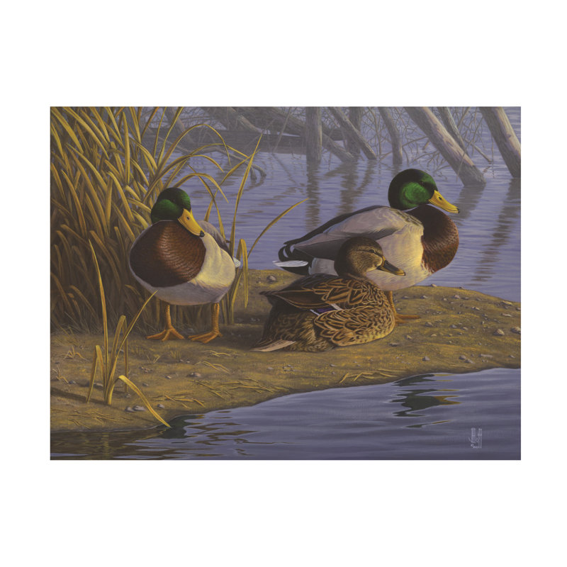 Art sur toile Jeff Hoff Mallards, H 18 po x l 24 po