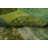 Green Wool Distressed Patchwork Area Rug 7x10