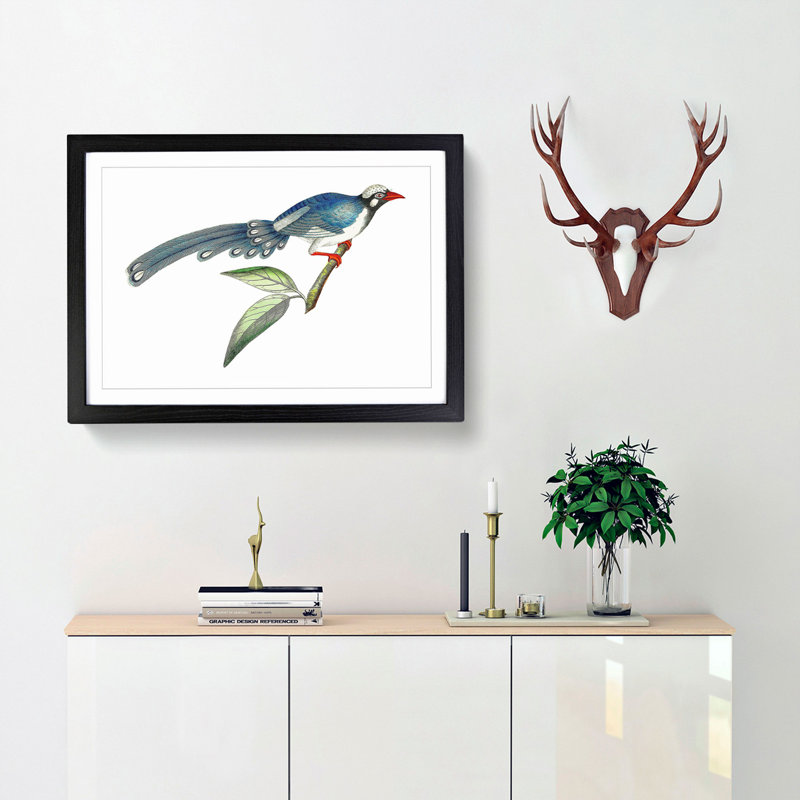 Chinese Cuckoo by George Shaw - Picture Frame Painting Print, 36cm H x 48cm W x 2cm D, Black Framed