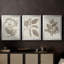 Antique Sepia Botanicals IV  -Custom Framed  Wrapped Gallery Canvas - 3 Pieces-68522127-68522123