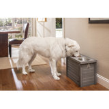 Southwick ECOFLEX Elevated Dog Feeder