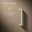 Occasion Grab Bar-730989489-711235825