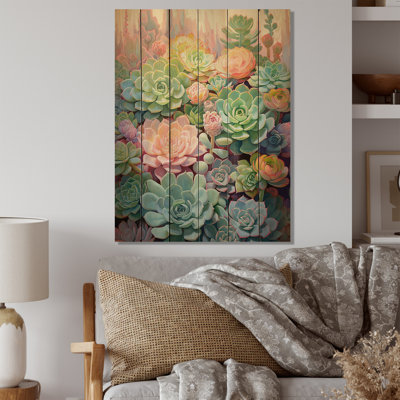 " Green Succulents Succulent Dreams "