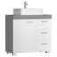 Samiras Freestanding Under Sink Cabinet-427937032