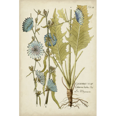 Éloquent botanique I