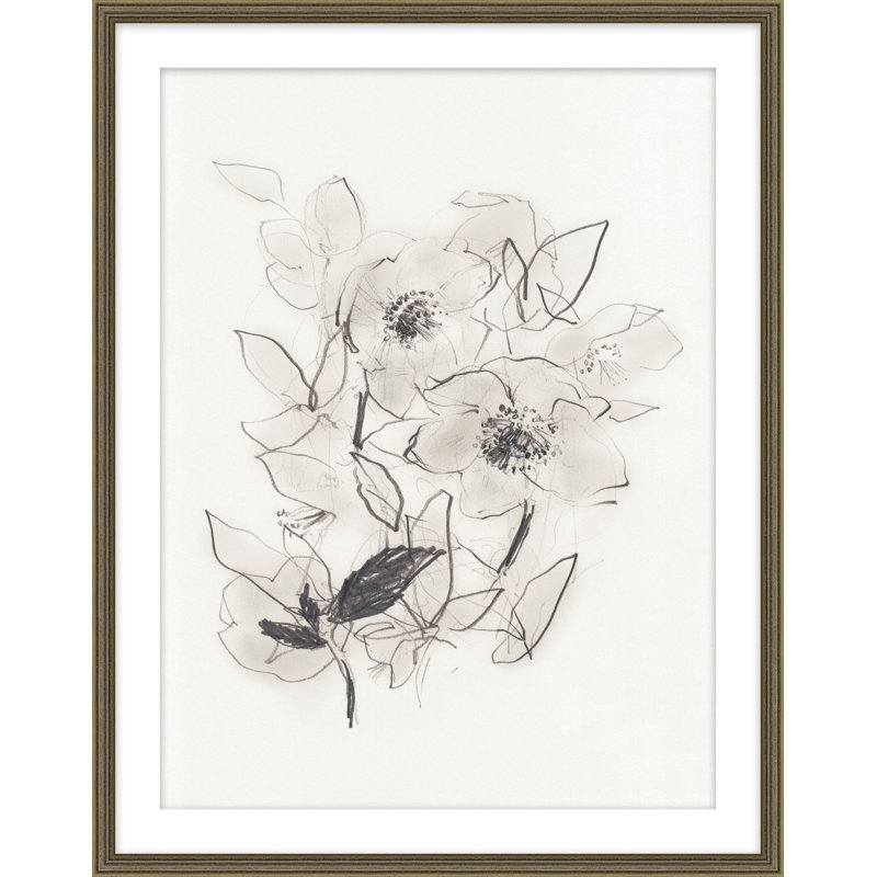 Hellebores At Daybreak 1 Print, 31.25" H x 25.25" W