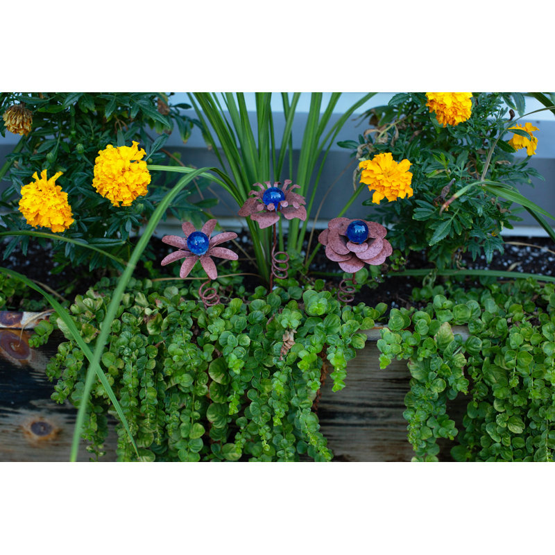 Echo Valley 4221pk3 Sm. Assortiment de pots de fleurs rustiques