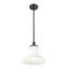Luminaire suspendu 1 lumière noir mat Ohlson-1340429145