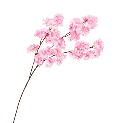 Jet de fleurs de cerisier Torrez