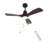 Jhamarion 42" Modern LED Ceiling Fan Chandelier with Remote-1331740346