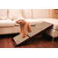 Rampe pour animaux 33,5 po Octavia