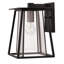 Walker 1-Light Outdoor Wall Lantern-631984395