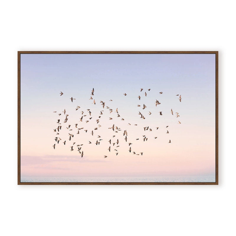 Nature Inspired Sunset Flight by  - Picture Frame Photograph on Paper, Framed Canvas, Brown, 32" H x 48" W x 2.375" D