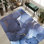 Transitional Floral Printed Non Woven Soft Rug Enhances Your Room with its Intricate and Sophisticated Design