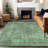 Machine Washable Indoor/Outdoor Claudian ACN1629 Sage Rug-104302328