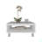 Minimalistic Square Coffe Table With Open Storage-246813764