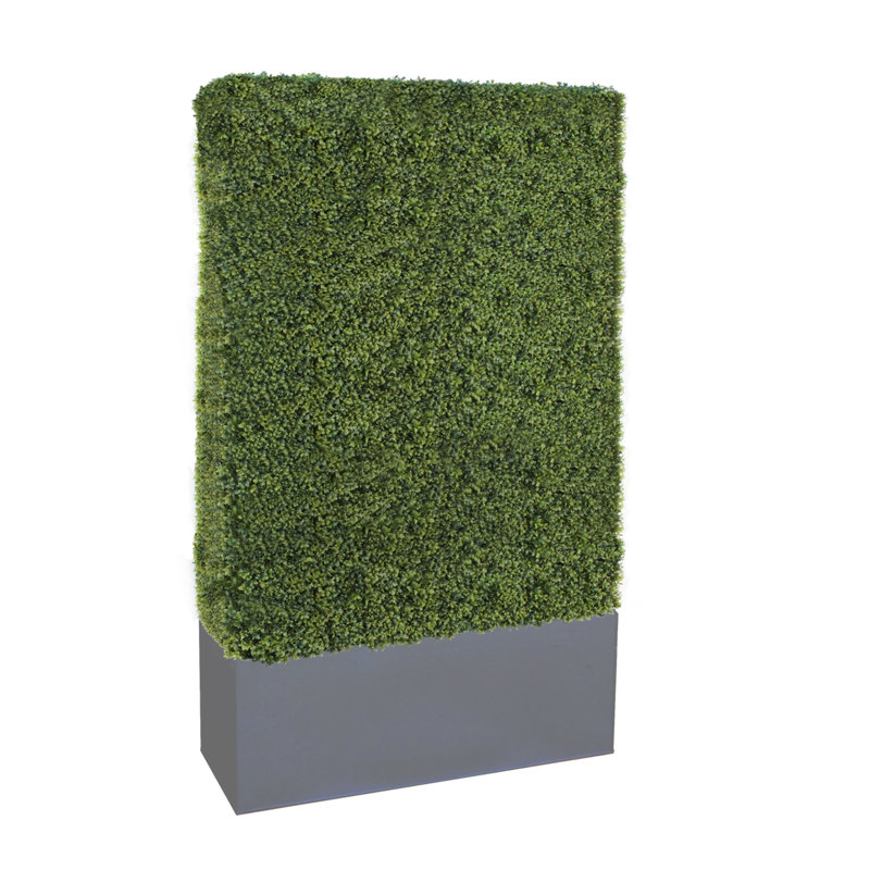 Faux Boxwood Hedge in Ceramic Planter, 72" H x 40" W x 12" D, Gray