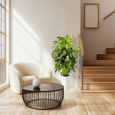 Arbre artificiel artificiel de 5 pi Dracaena d'intérieur - Faux plantes d'intérieur haut avec pot de fleurs blanc - Faux arbre plante de plancher artificielle décor pour le bureau du salon